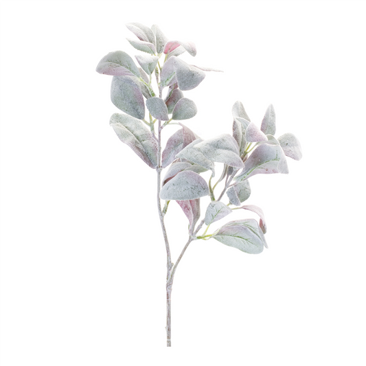 Lamb's Ear Leaf Bush (Set of 6) -Ship Only