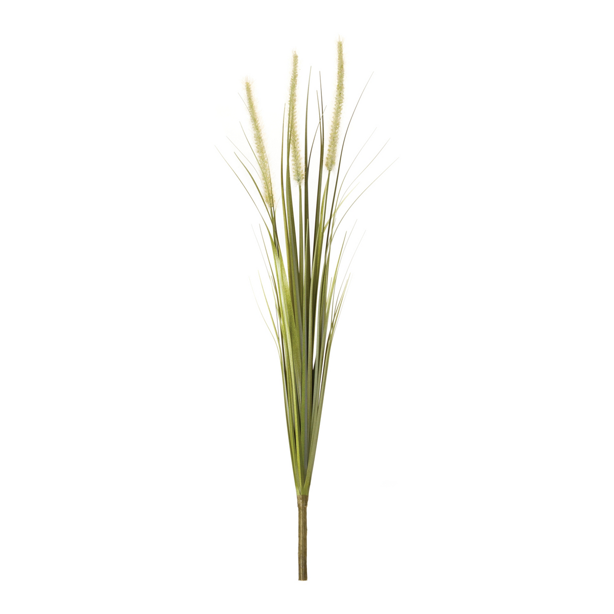 Foxtail Bush (Set of 6) -Ship Only