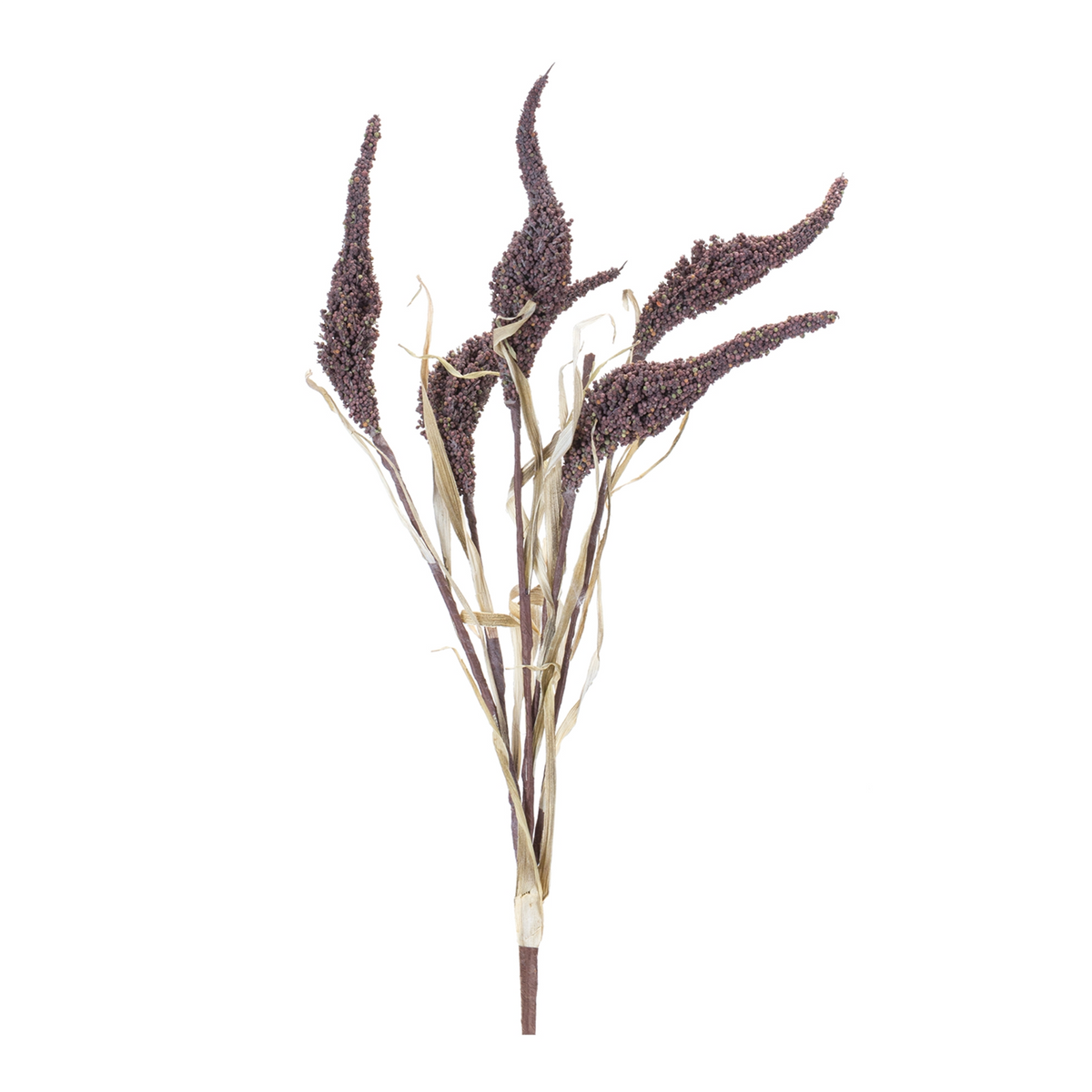 Seeded Harvest Bush (Set of 12) -Ship Only