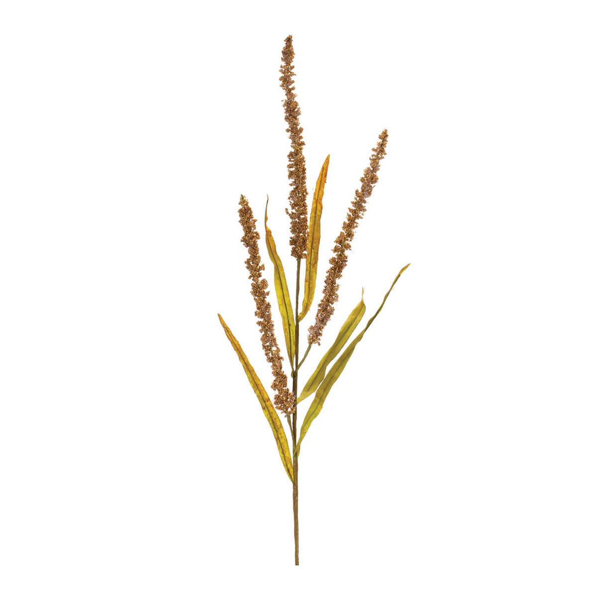 Seeded Plume Spray (Set of 12) -Ship Only