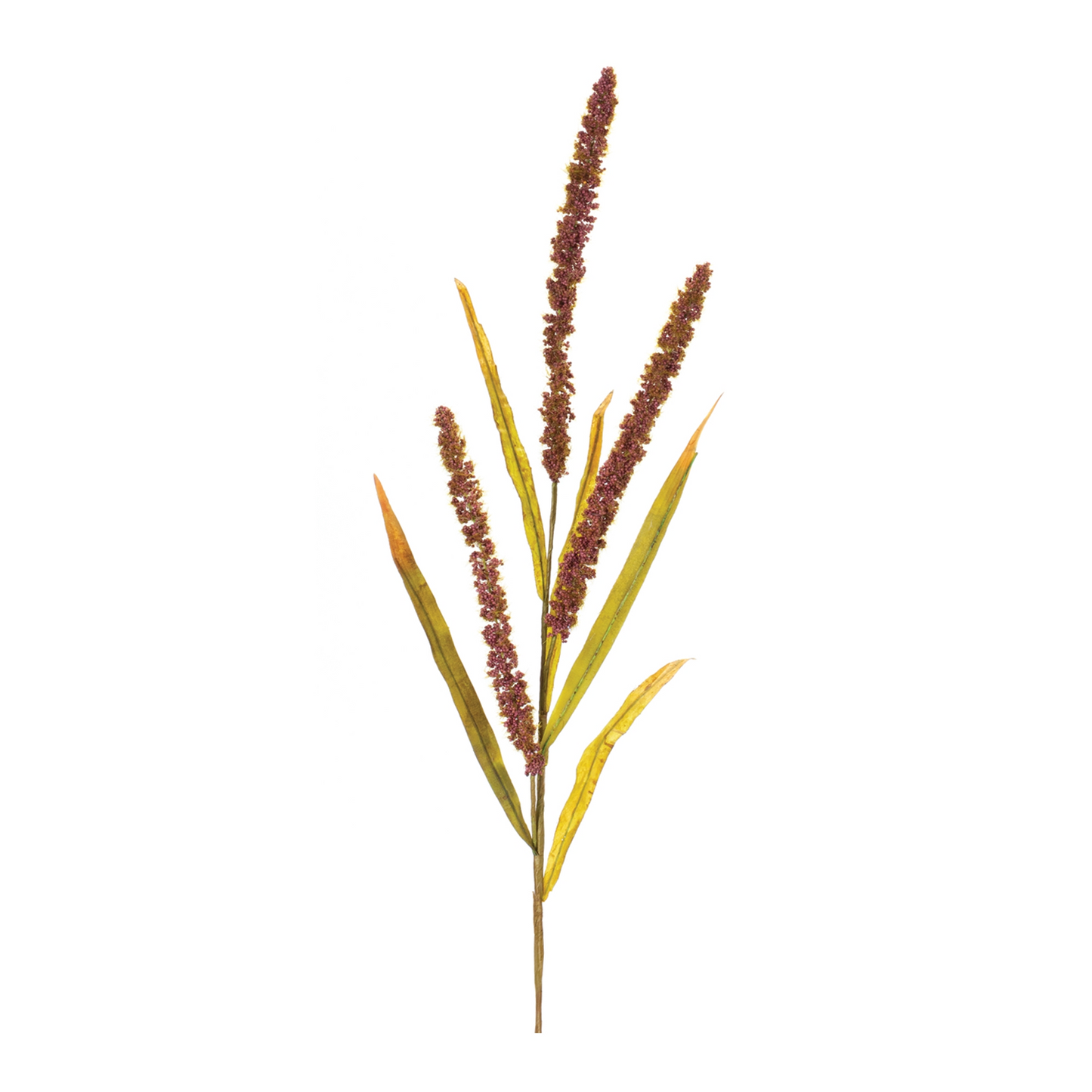 Seeded Plume Spray (Set of 12) -Ship Only