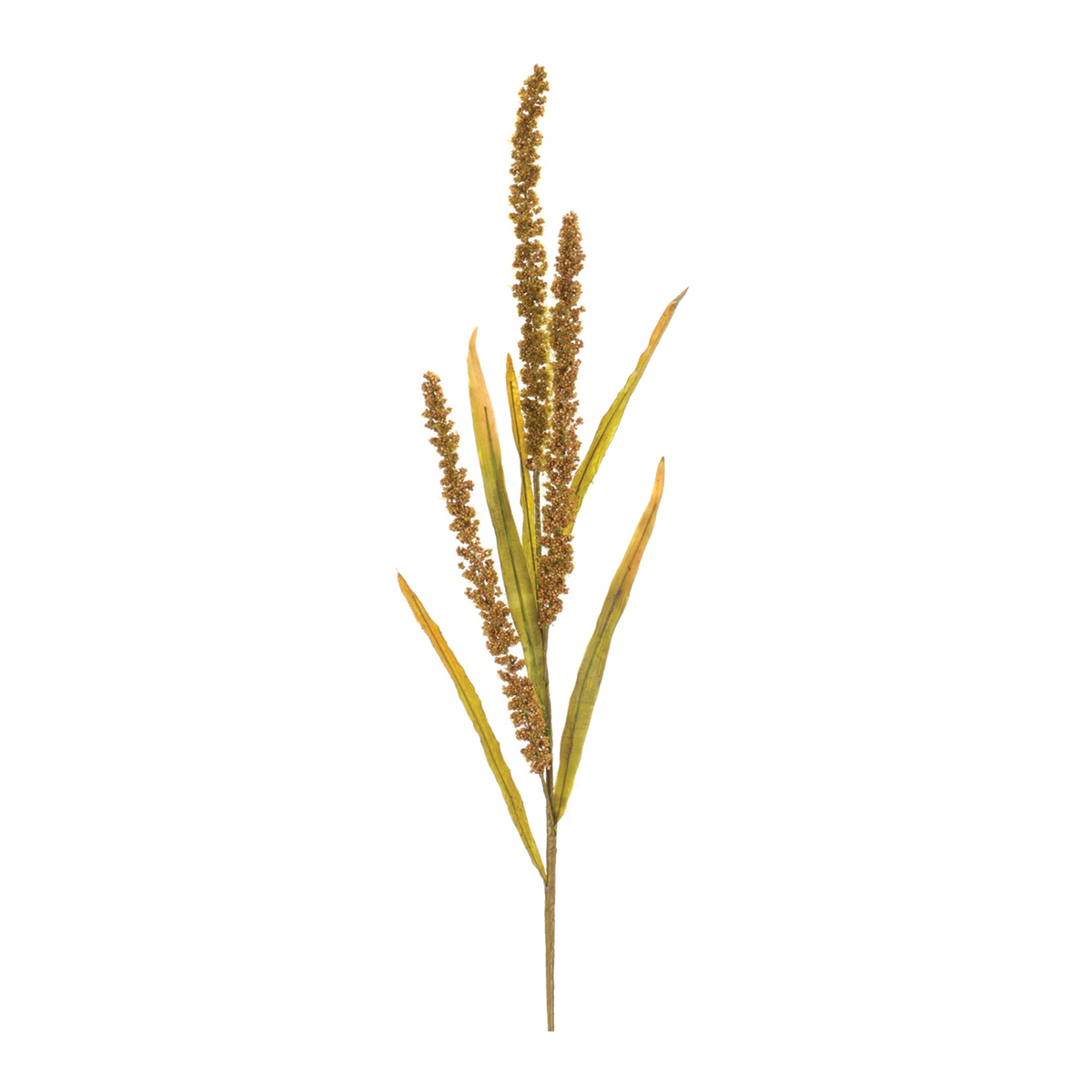 Seeded Harvest Spray (Set of 12) -Ship Only