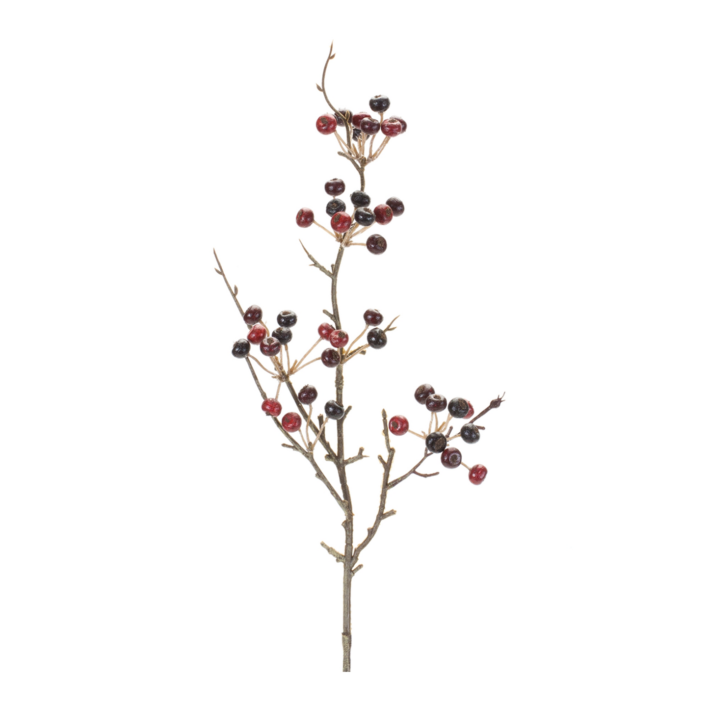 Berry Pod Spray (Set of 6) -Ship Only