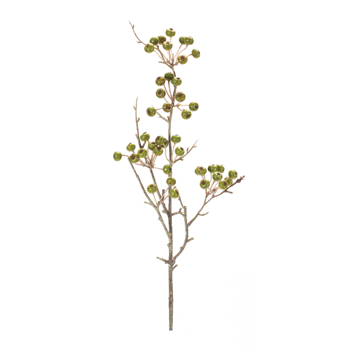 Winter Berry Pod Spray (Set of 12) -Ship Only