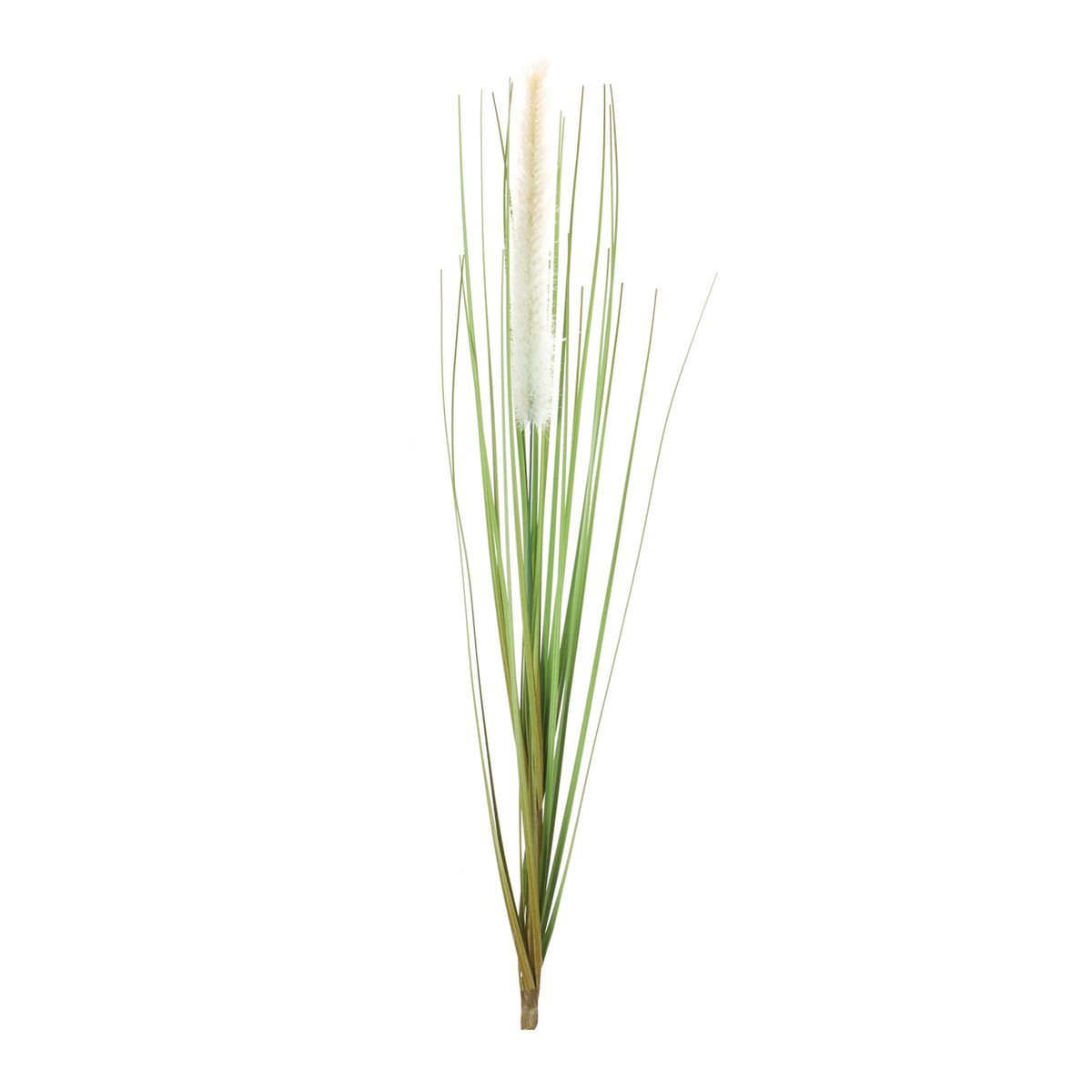 Foxtail Bush (Set of 12) -Ship Only