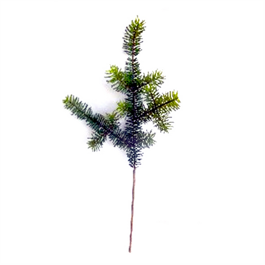 Pine Spray (Set of 6) -Ship Only