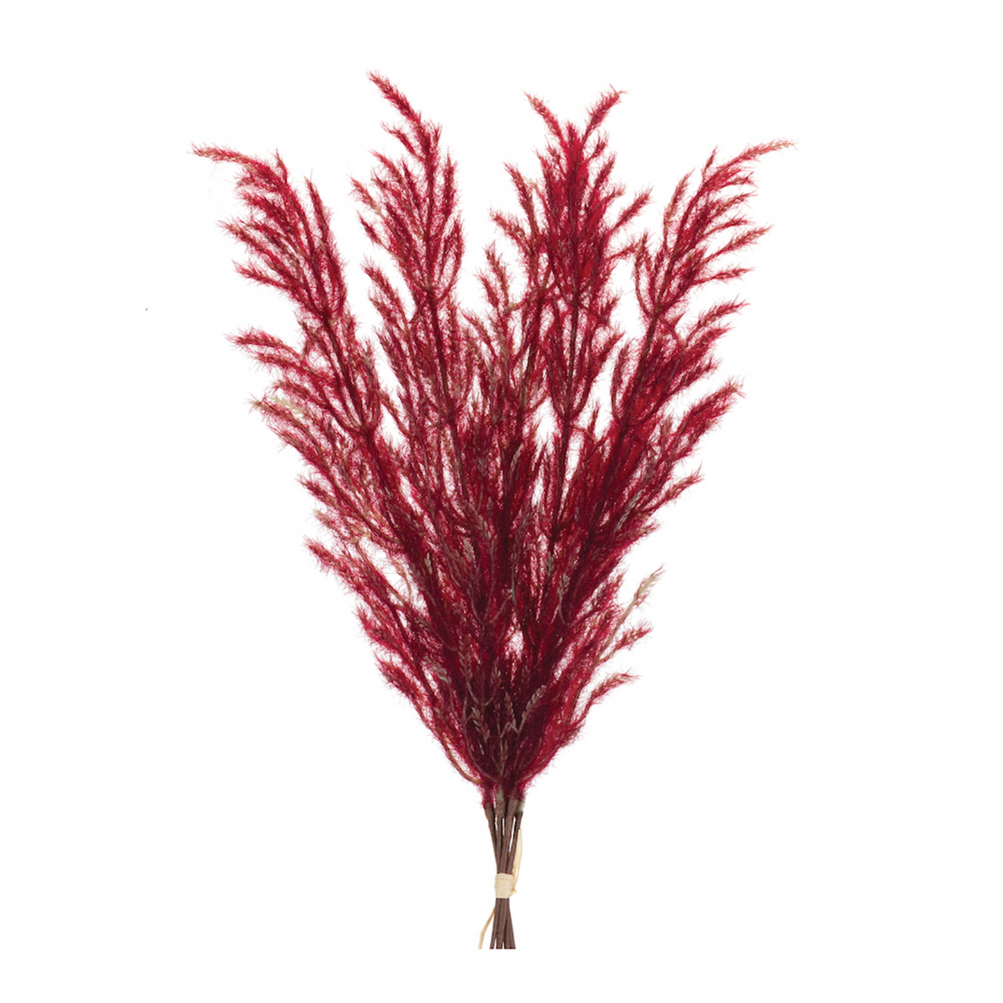 Burgandy Plume Bundle (Set of 6) -Ship Only