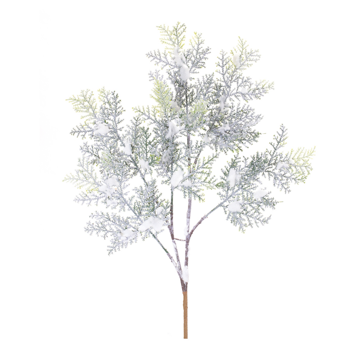 Flocked Cedar Branch (Set of 12) -Ship Only