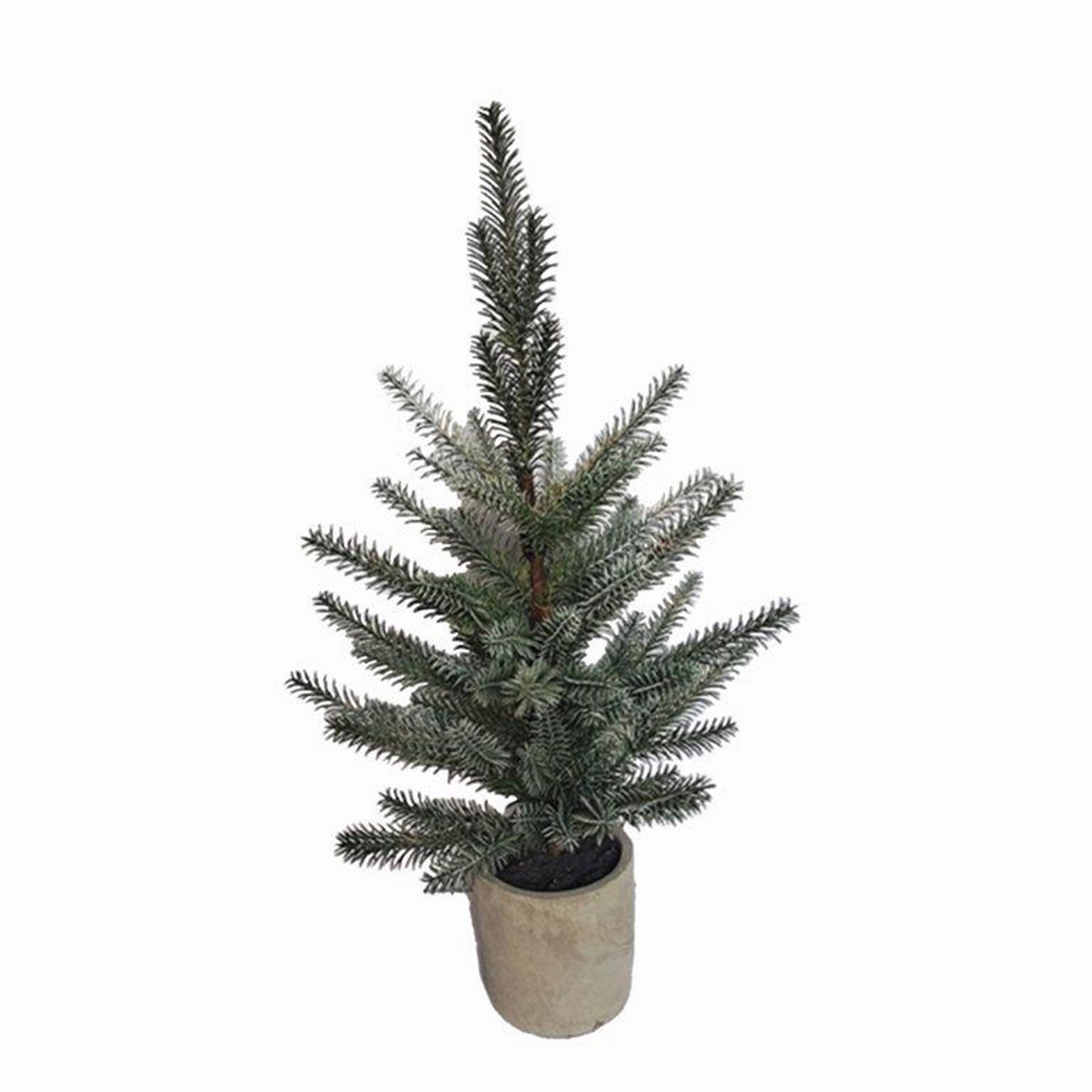 Pine Tree in Plastic Pot (Set of 2) -Ship Only