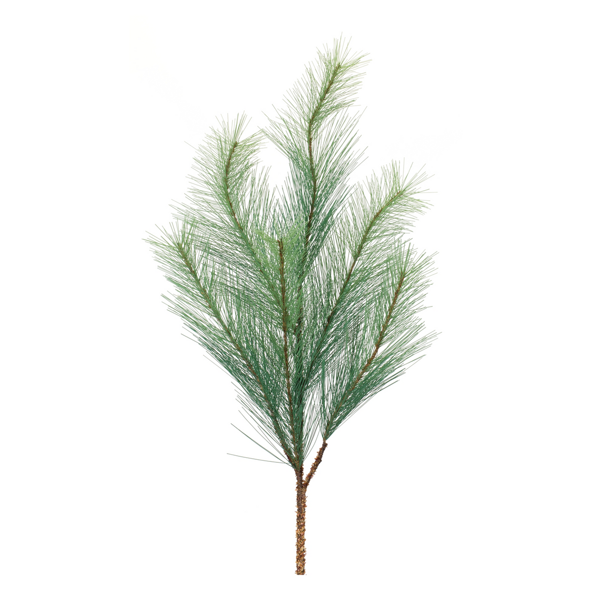 Long Needle Pine Spray (Set of 6) -Ship Only