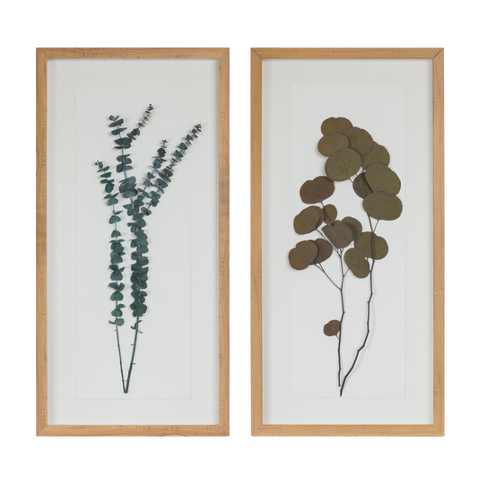 Dried Eucalyptus Frame (Set of 2) -Ship Only