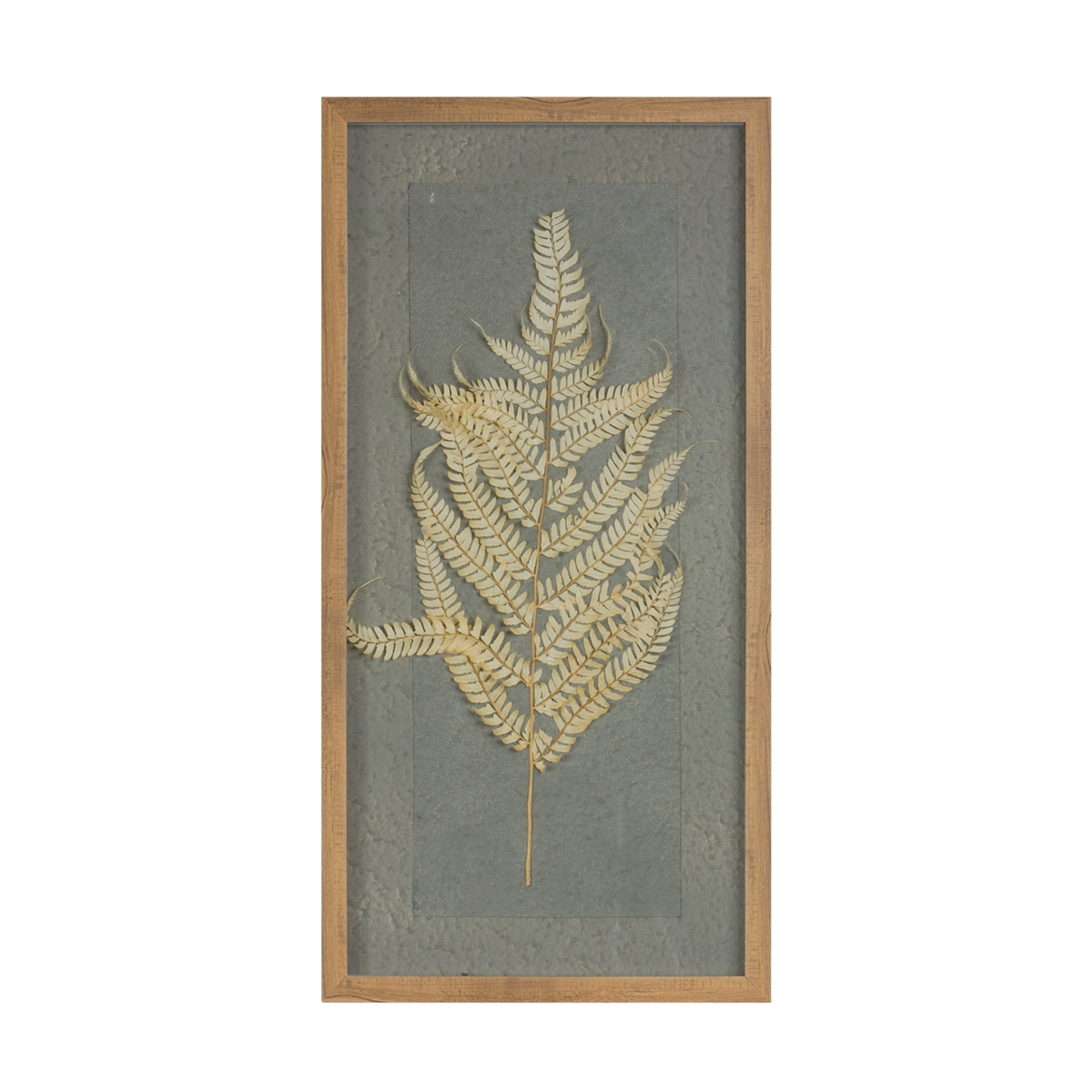 Dried Fern Frame (Set of 2) -Ship Only