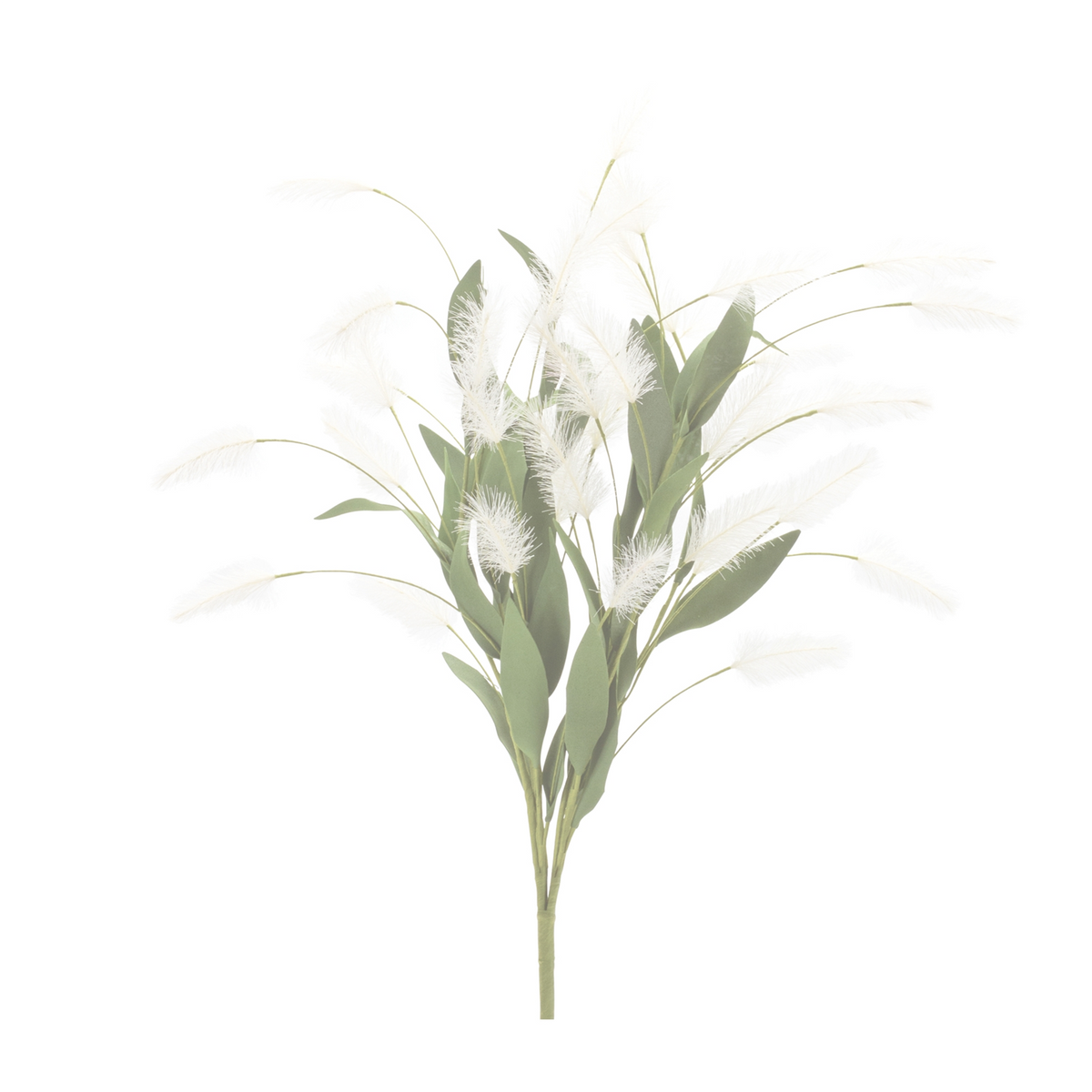 White Plume Bush (Set of 2) -Ship Only