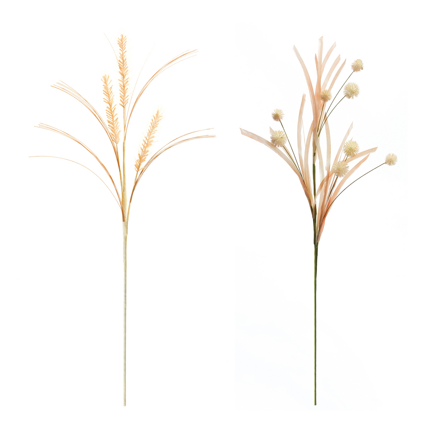 Foxtail and Pod Spray (Set of 12) -Ship Only
