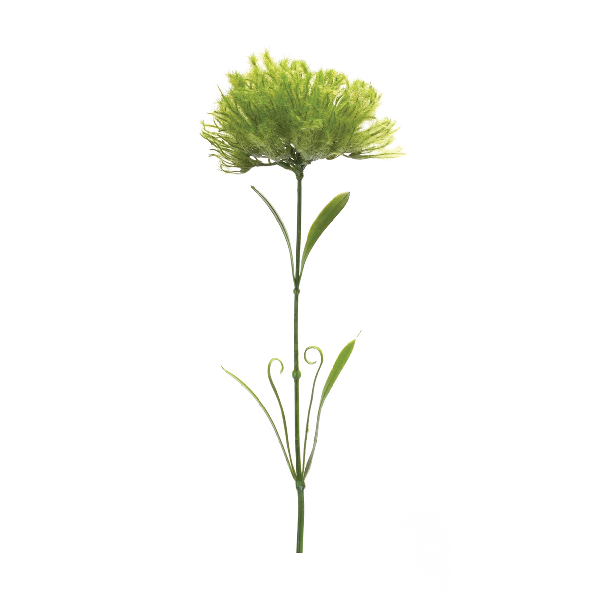 Puff Flower Stem (Set of 6) -Ship Only