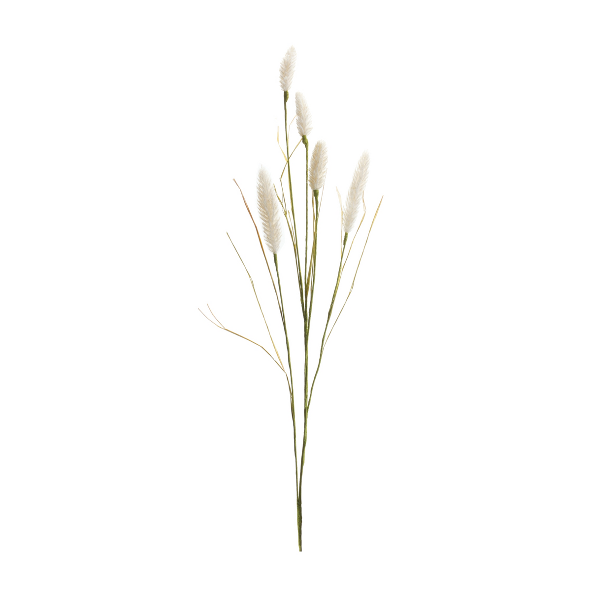 Foxtail Spray (Set of 6) -Ship Only