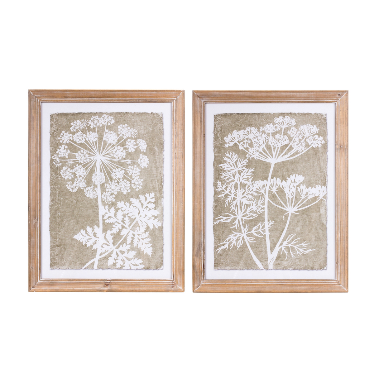 Framed Queen Anne's Lace and Fern Wall Art (Set of 2) -Ship Only