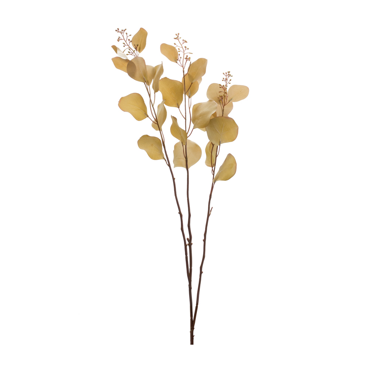 Seeded Eucalyptus Stem (Set of 2) -Ship Only