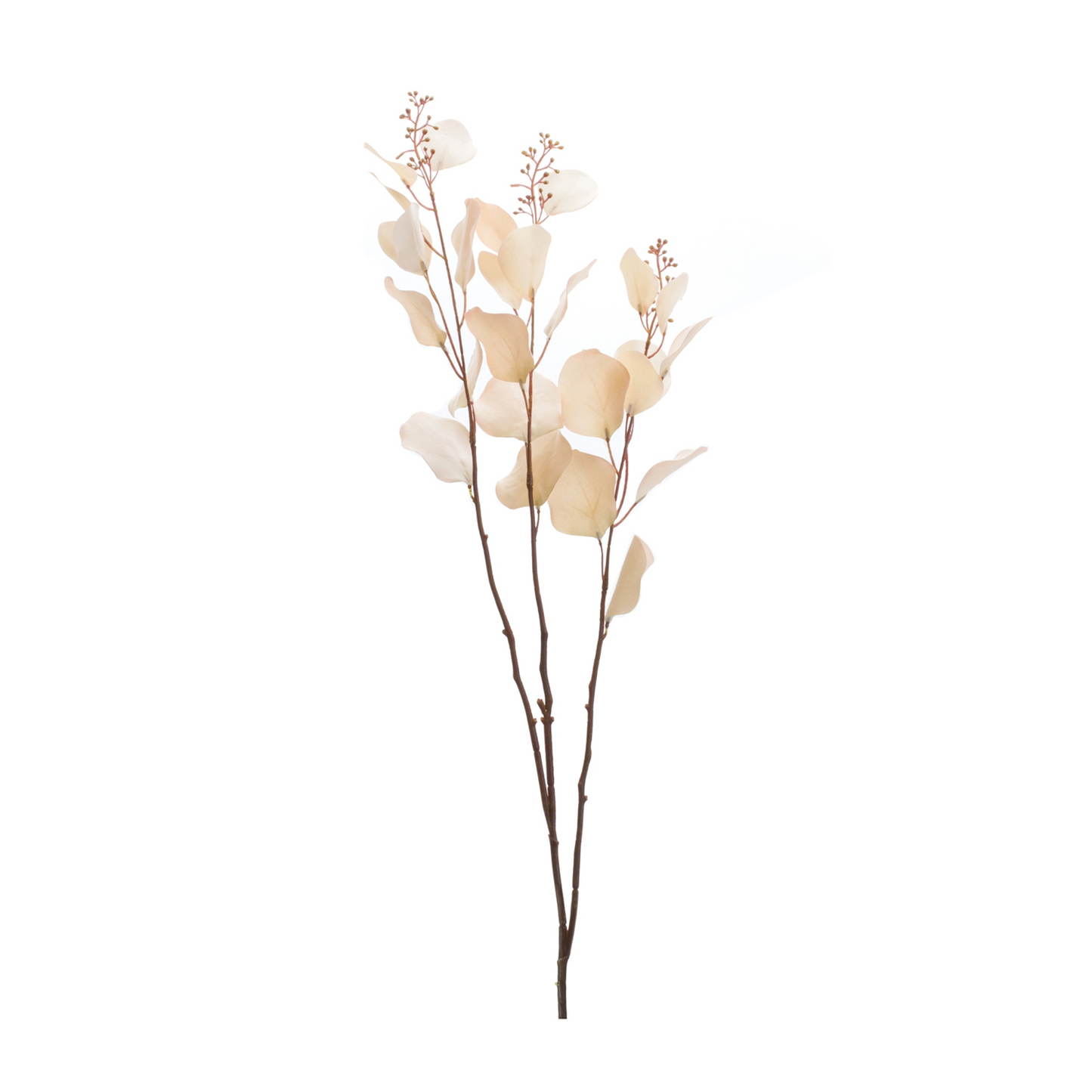 Seeded Eucalyptus Stem (Set of 2) -Ship Only