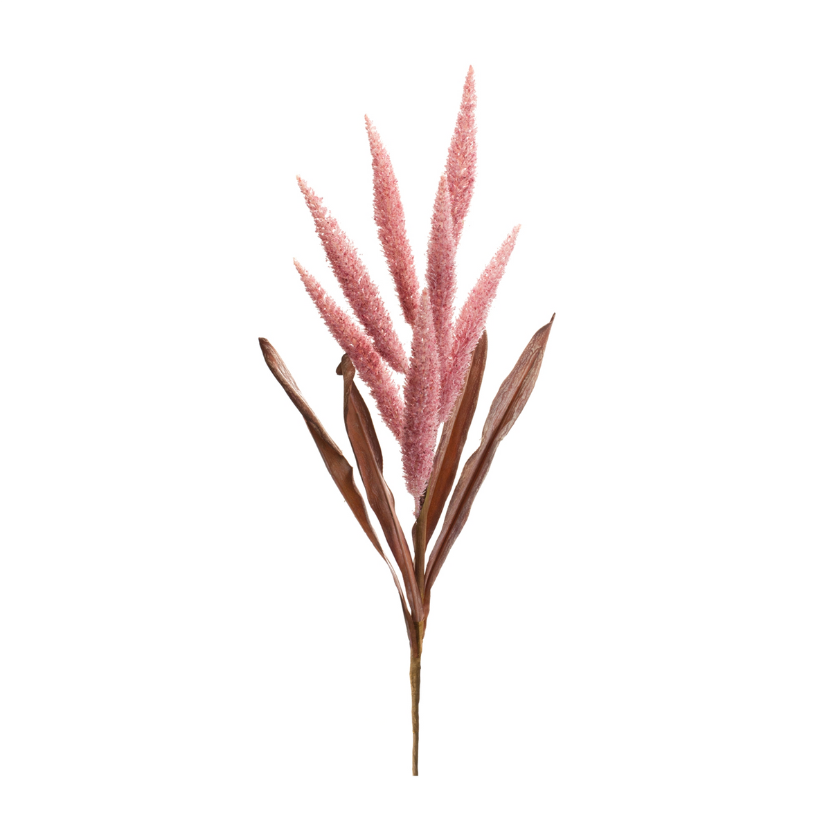 Foxtail Plume Stem (Set of 2) -Ship Only