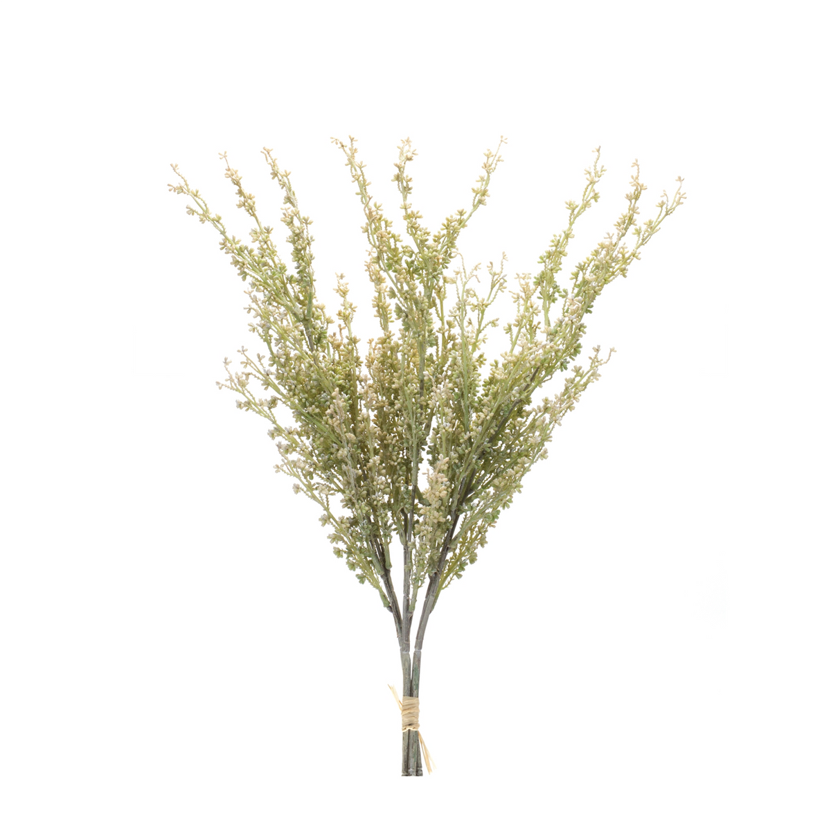 Mini Seed Pod Bundle (Set of 2) 24”H Plastic -Ship Only
