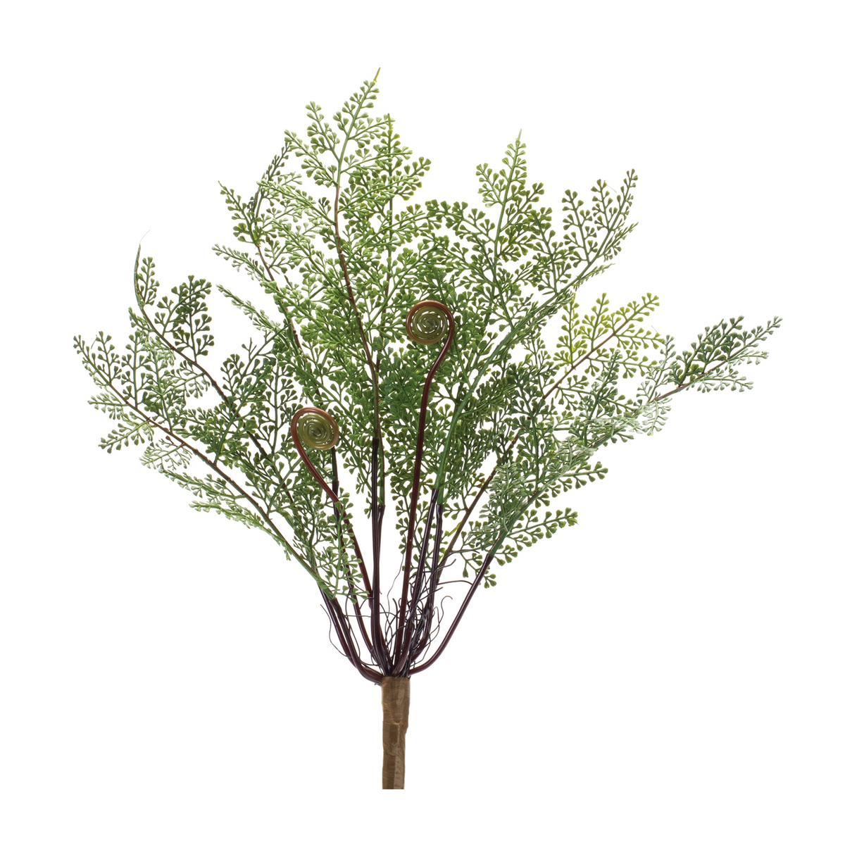 Fern Bush (Set of 2) -Ship Only