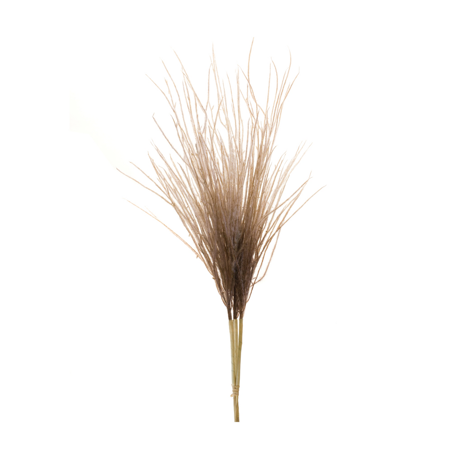 Grass Plume Bundle (Set of 2) -Ship Only