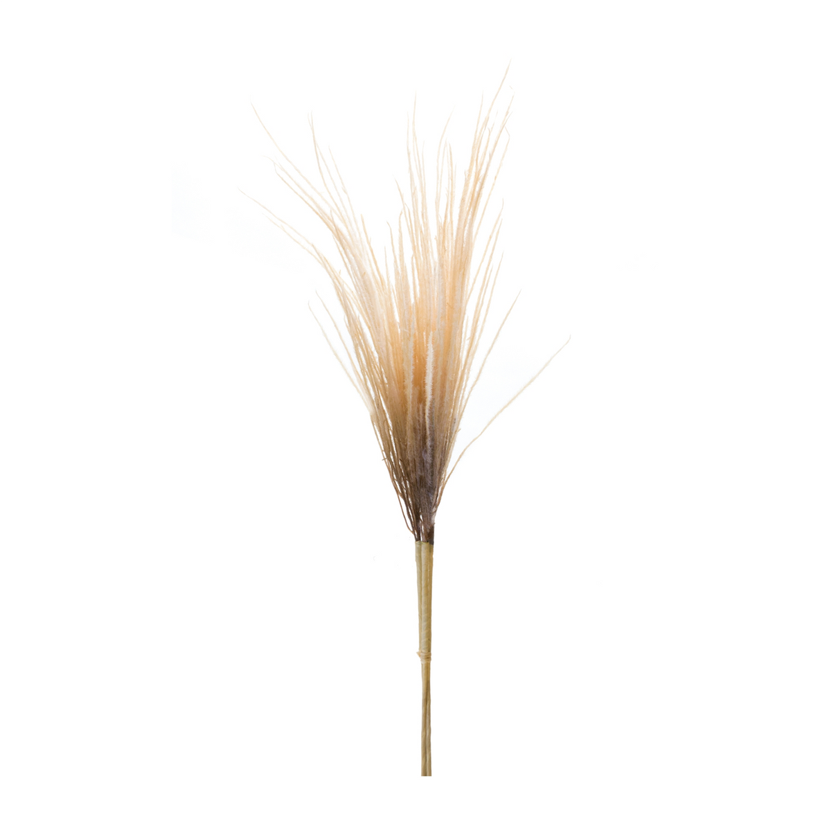 Grass Plume Bundle (Set of 2) -Ship Only