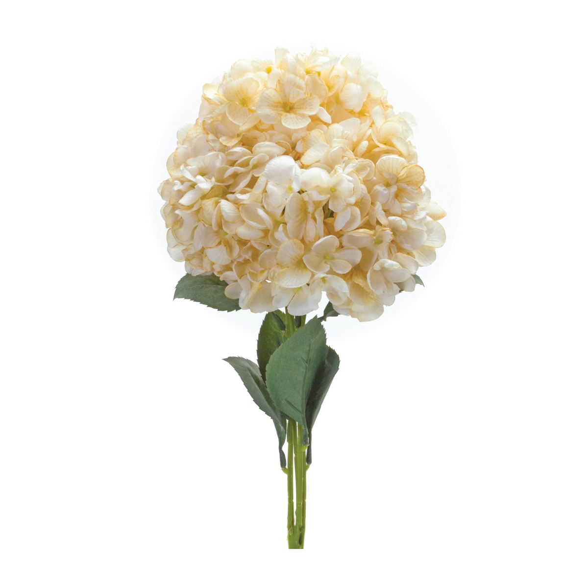 Hydrangea Bush (Set of 2) -Ship Only
