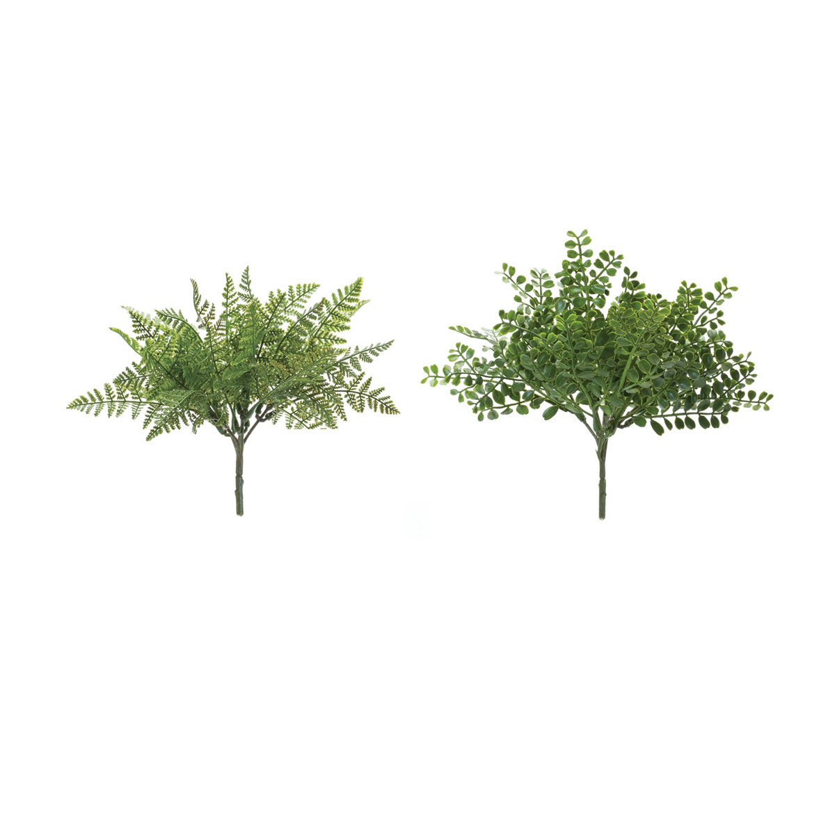 Fern Bush (Set of 12) -Ship Only