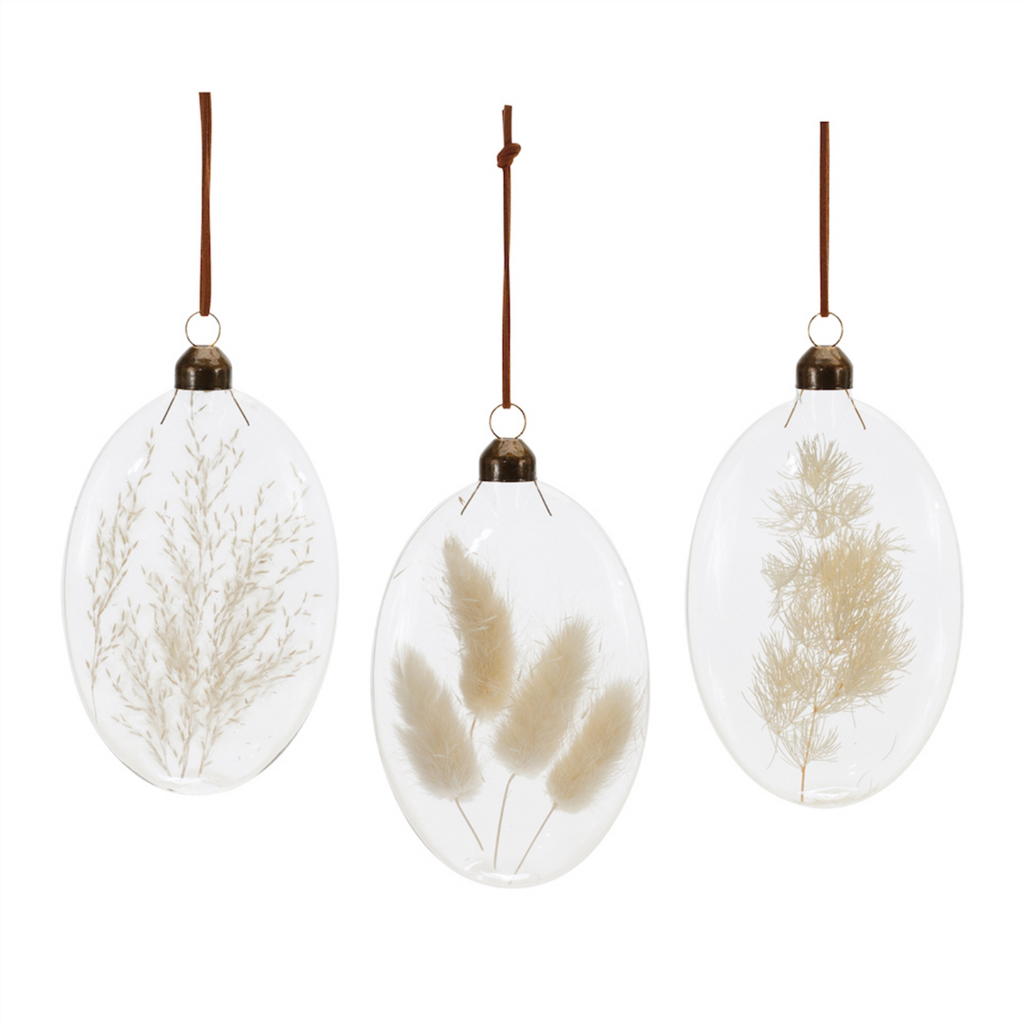 Natural Dried Floral Glass Ornament (Set of 12) -Ship Only