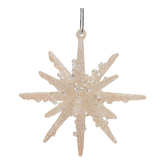 Frosted Glass Star Ornament (Set of 6)