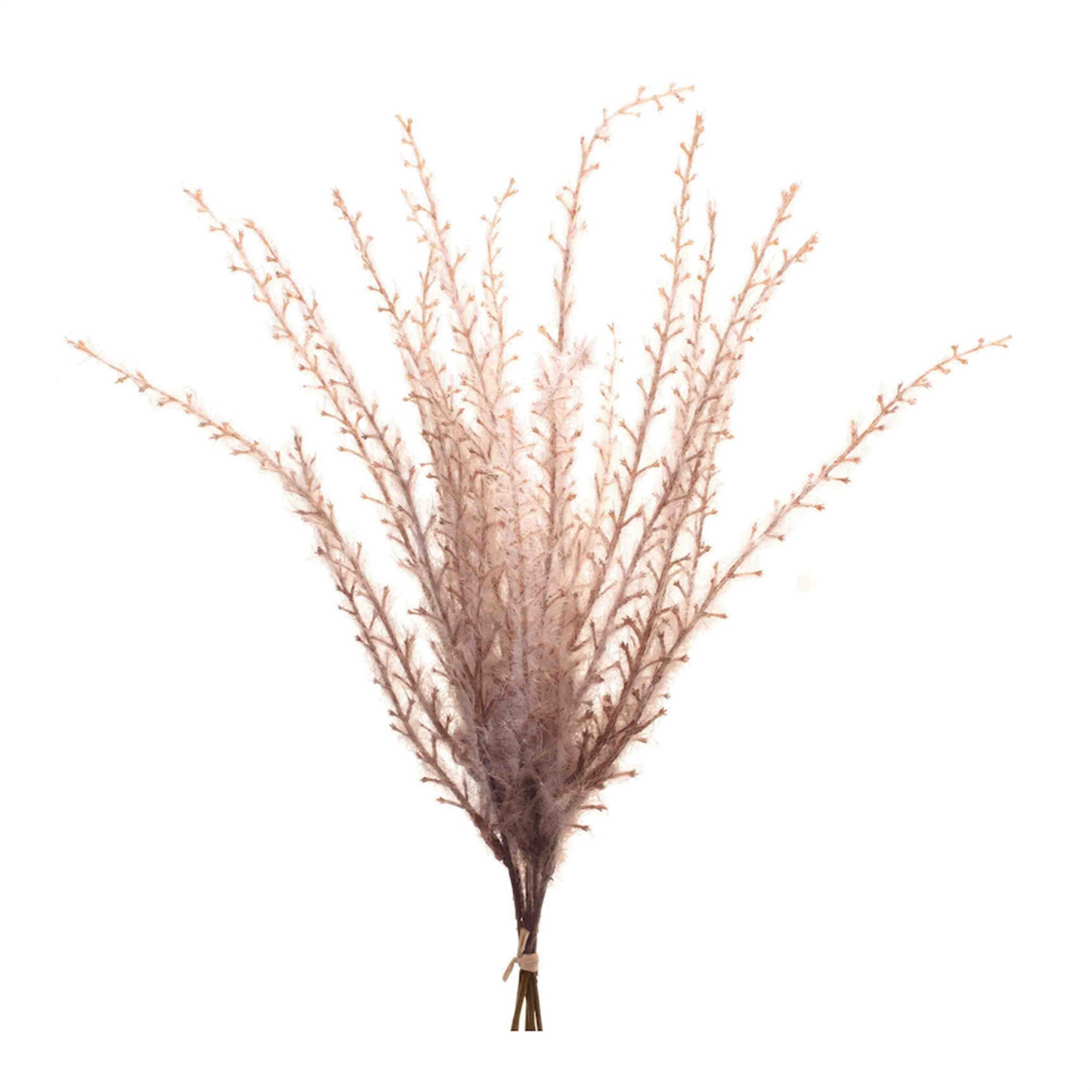 Grass Plume Bundle (Set of 6) -Ship Only
