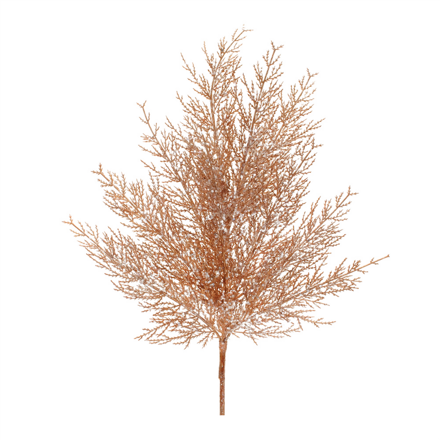 Cedar Spray (Set of 4)