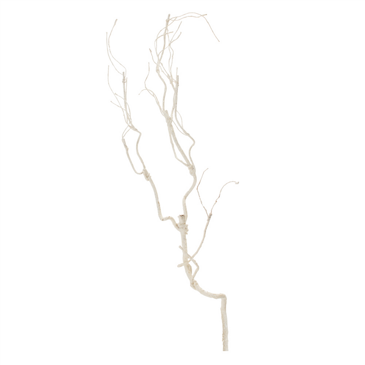 Glittered White Twig Branch (Set of 6) -Ship Only