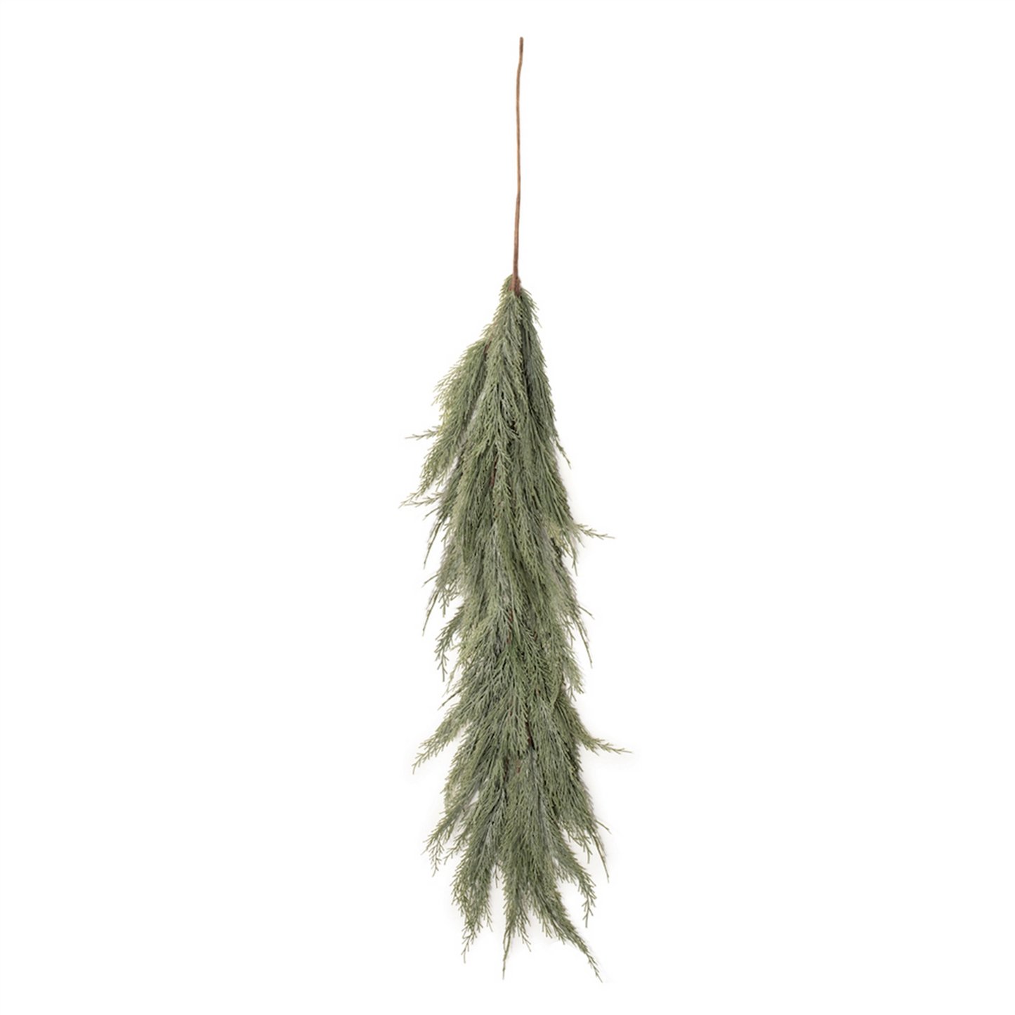 Variegated Pine Vine 48"L -Ship Only