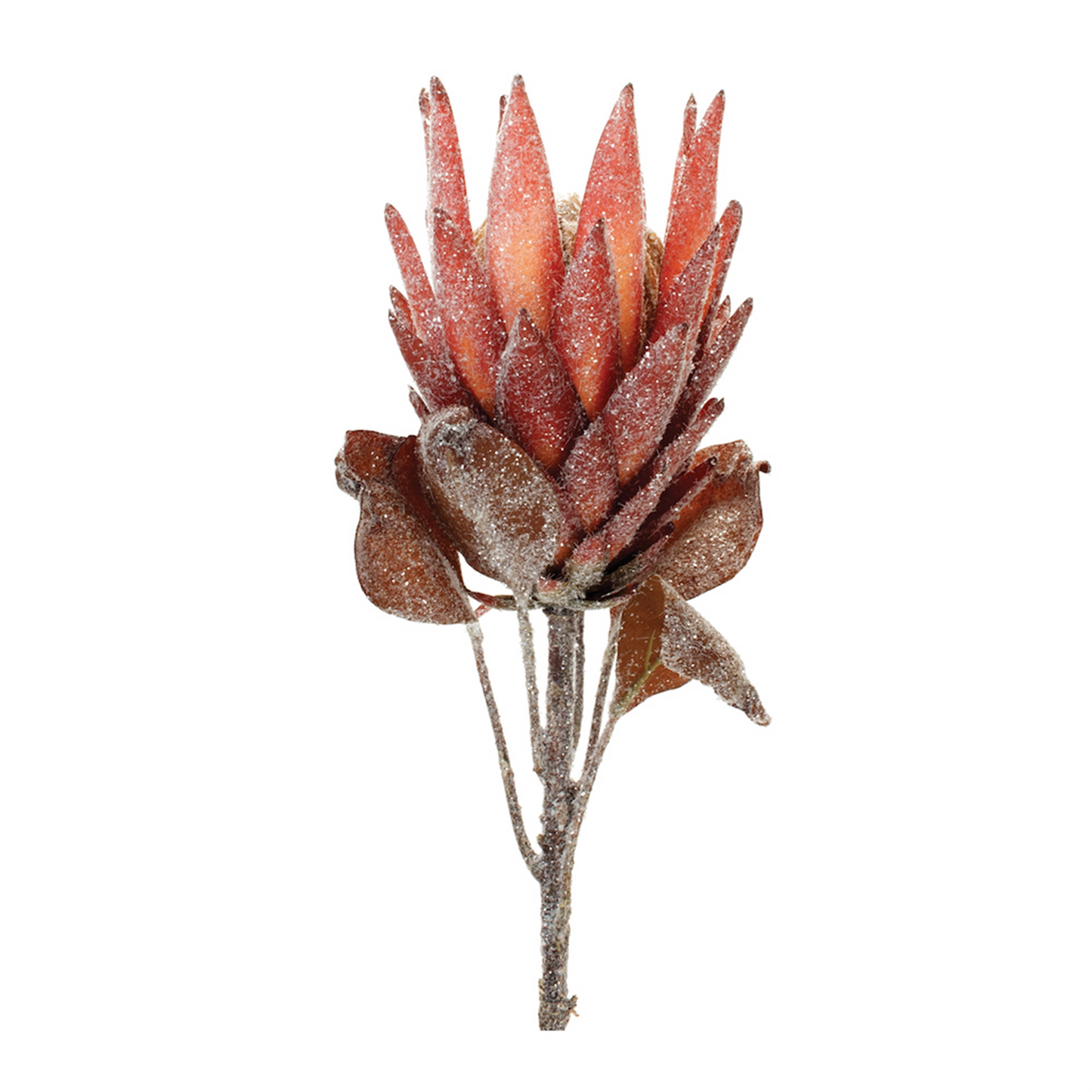 Red Protea Flower Stem (Set of 2) -Ship Only