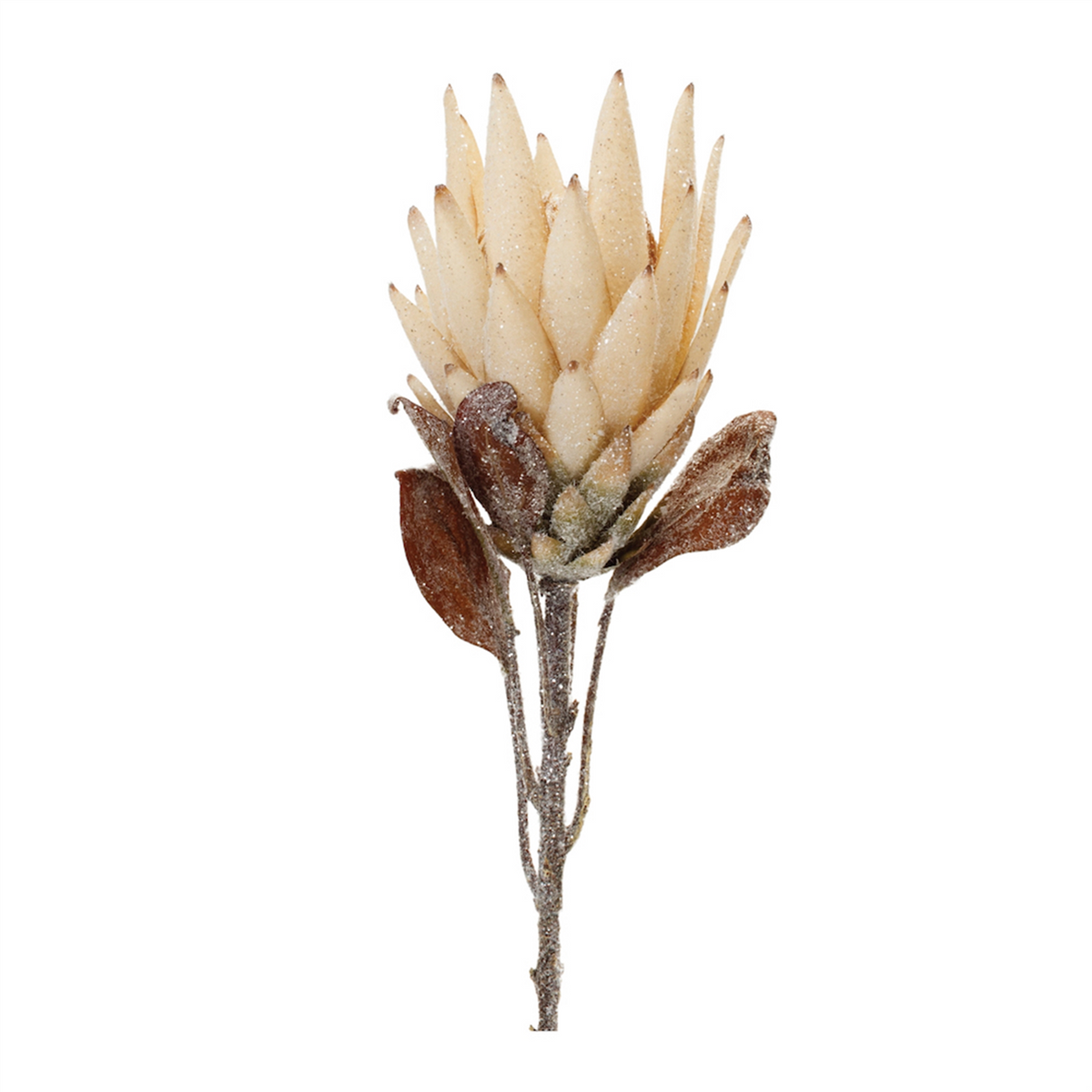 Beige Protea Flower Stem (Set of 2) -Ship Only