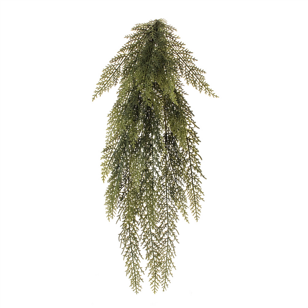 Variegated Pine Vine 31"L -Ship Only