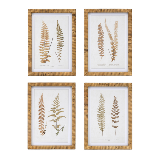 Wood Framed Fern Print (Set of 4) -Ship Only