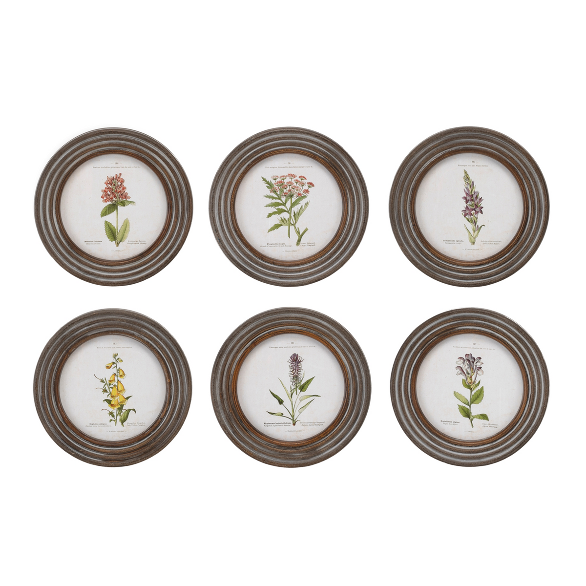 Round Framed Floral Print (Set of 6) -Ship Only