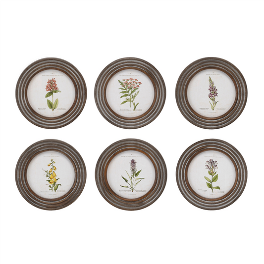 Round Framed Floral Print (Set of 6) -Ship Only