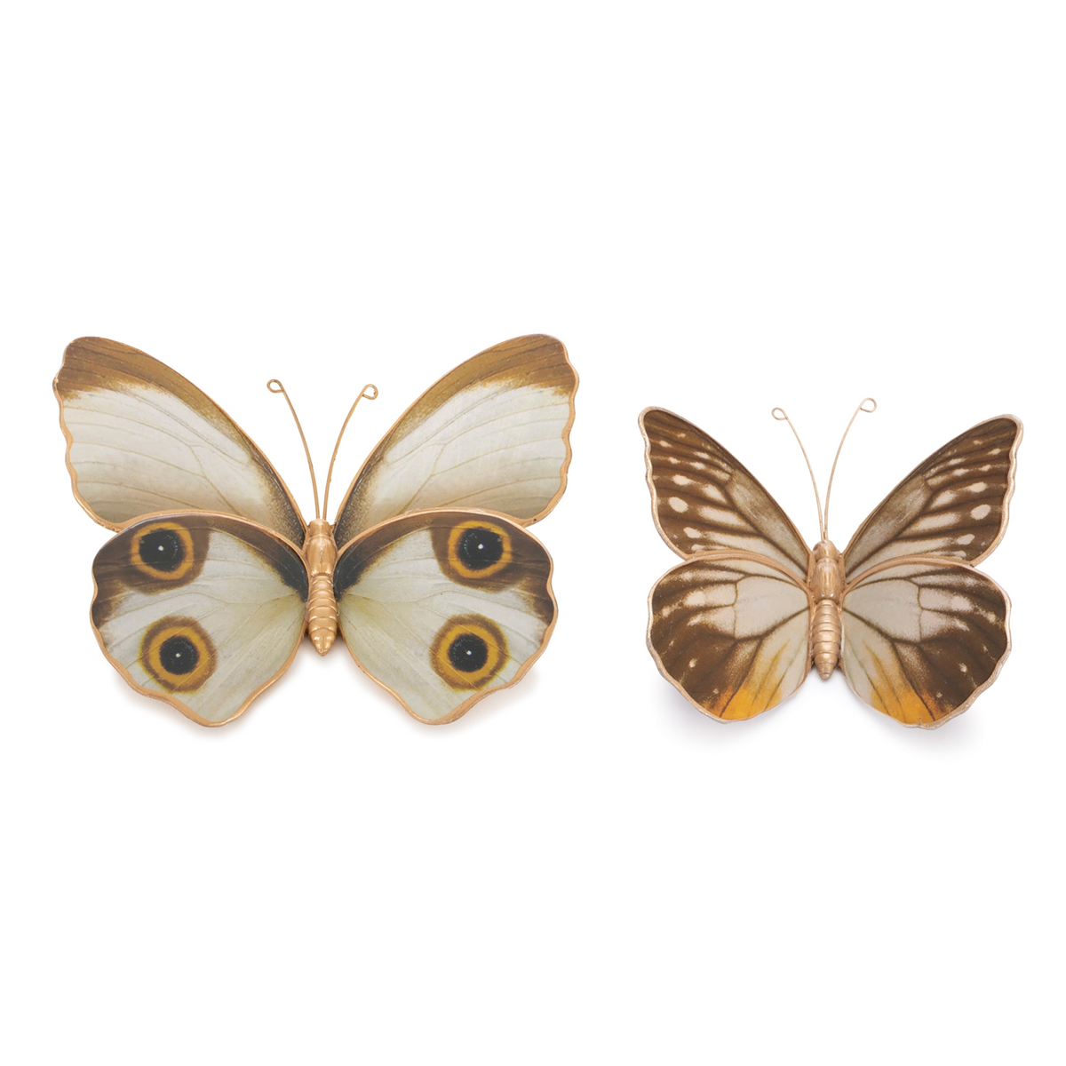Amber Butterfly and Moth Shelf Sitter (Set of 2) -Ship Only