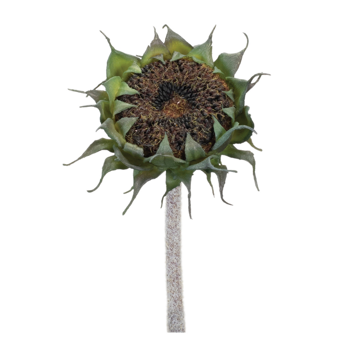 Brown Sunflower Stem (Set of 6) -Ship Only