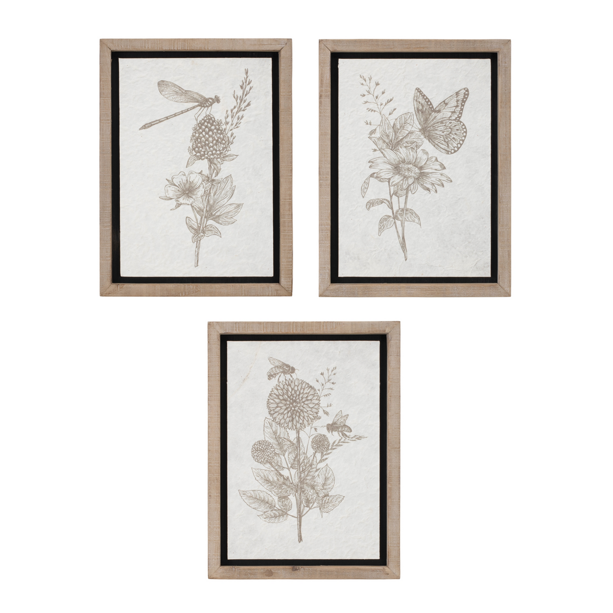Framed Floral Insect Print (Set of 3) -Ship Only