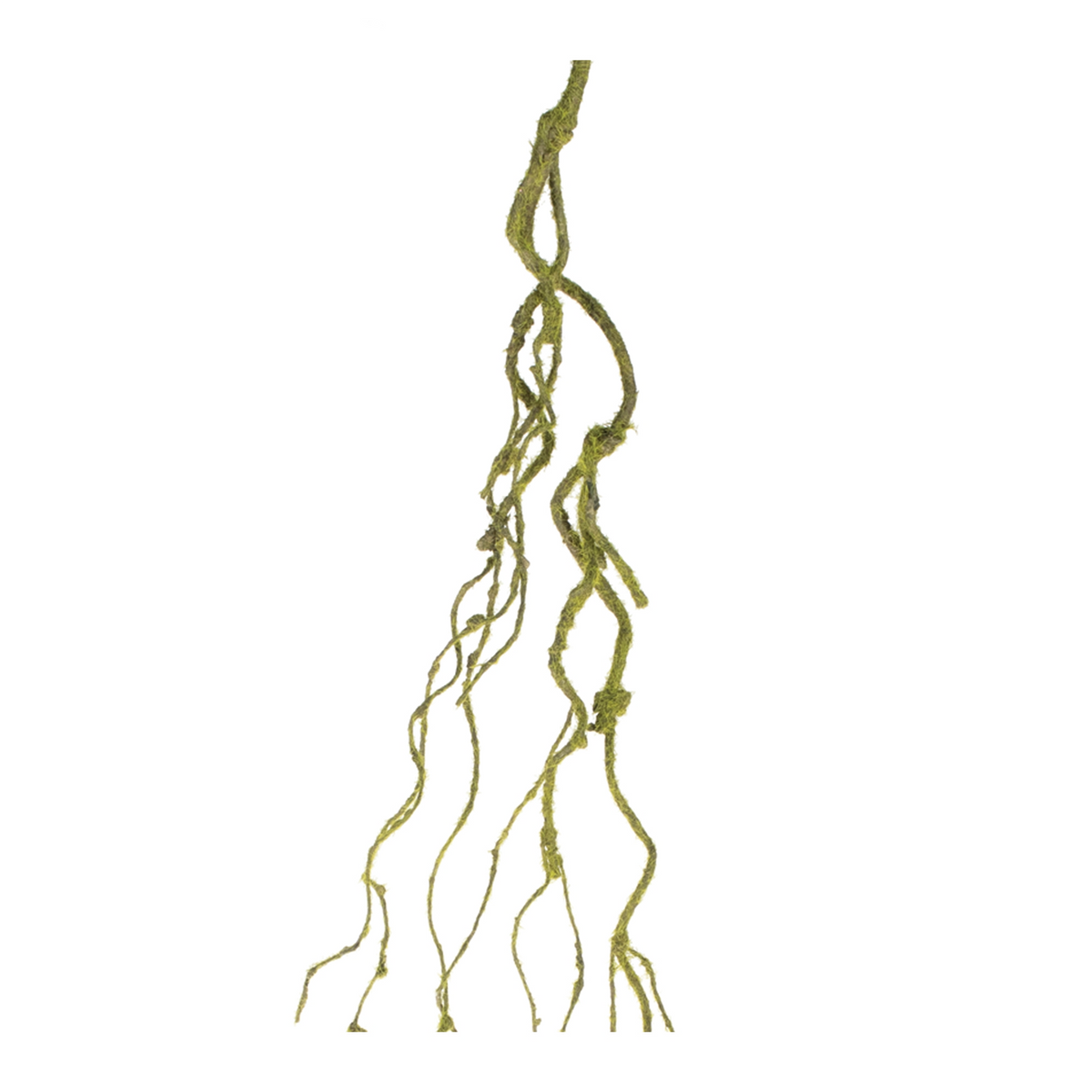 Mossy Twig Vine (Set of 6) -Ship Only