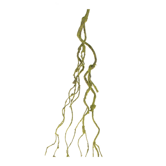 Mossy Twig Vine (Set of 6) -Ship Only