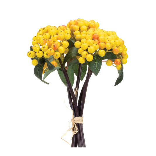 Yellow Berry Bundle (Set of 2) -Ship Only