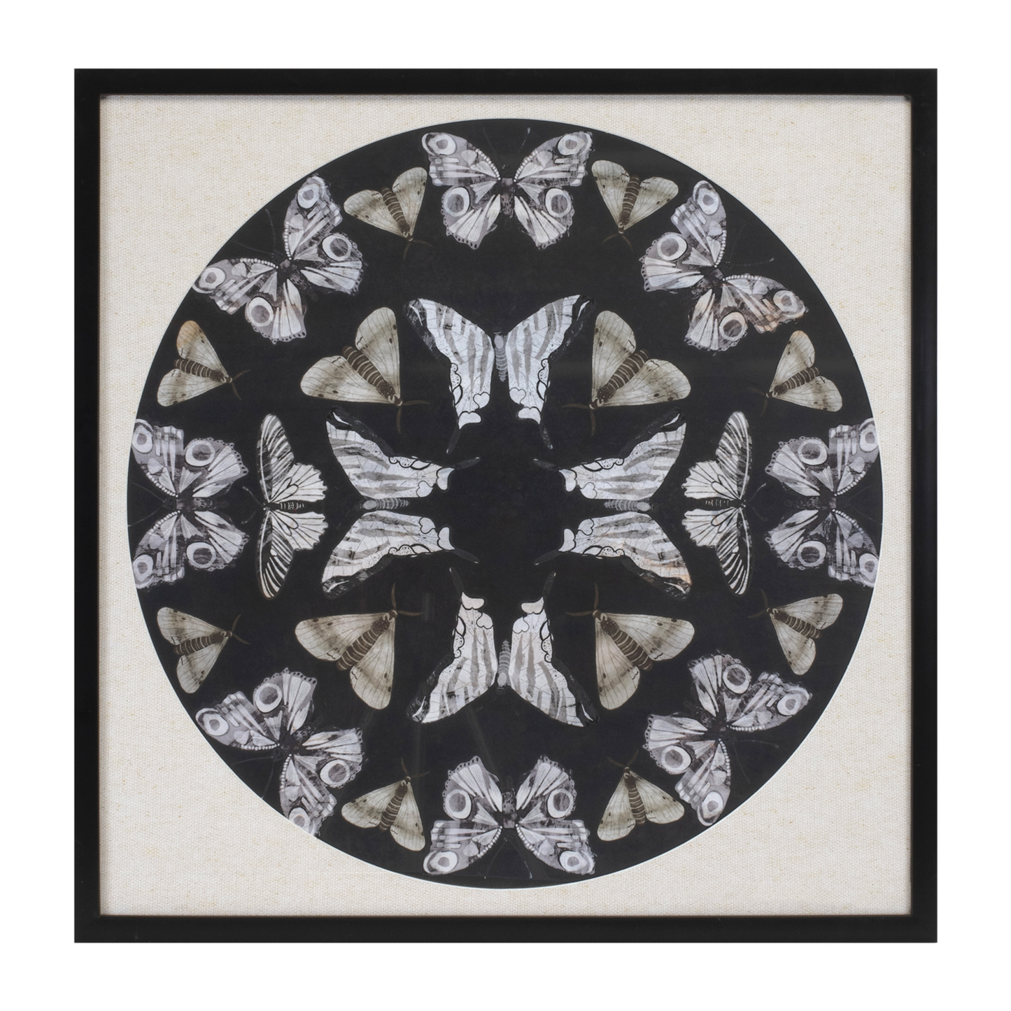 Framed Butterfly Print 25"SQ -Ship Only