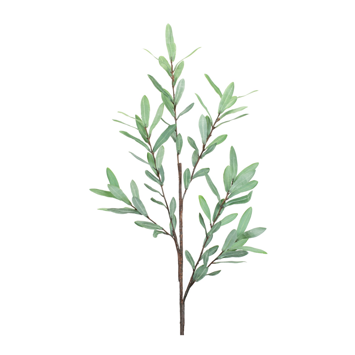 Olive Leaf Twig Branch (Set of 2) -Ship Only